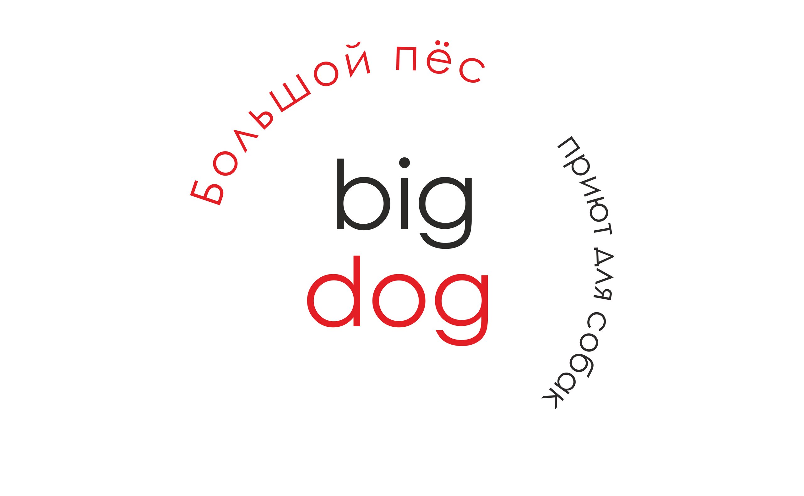 Bigdog_ekb Помощь собакам, попавшим в беду